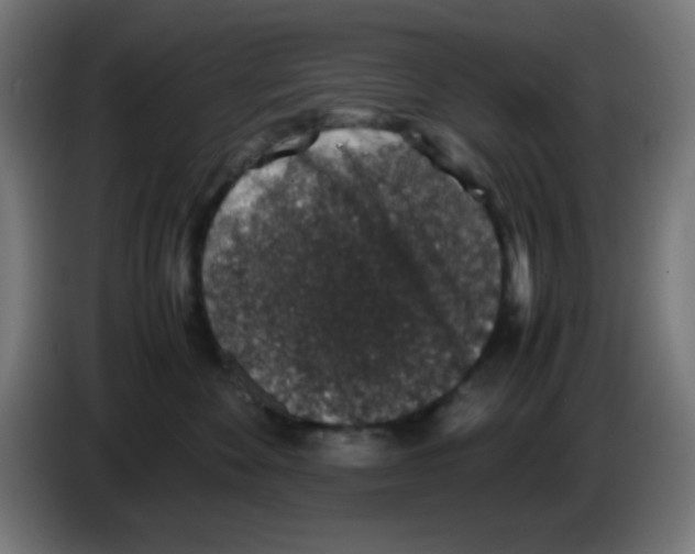 X0000086240524200704261918
