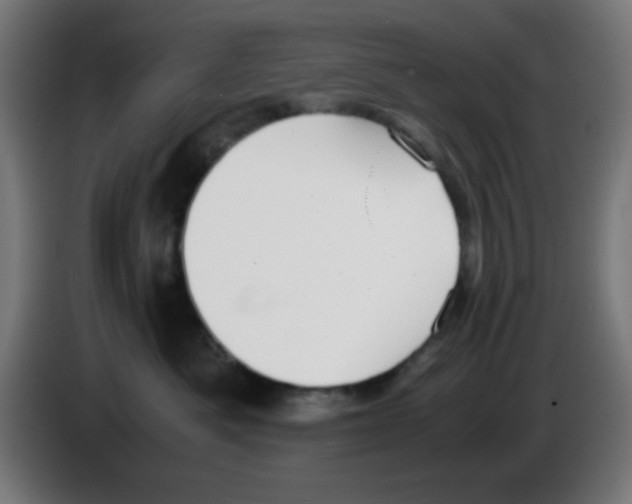 X0000086240525200704261918