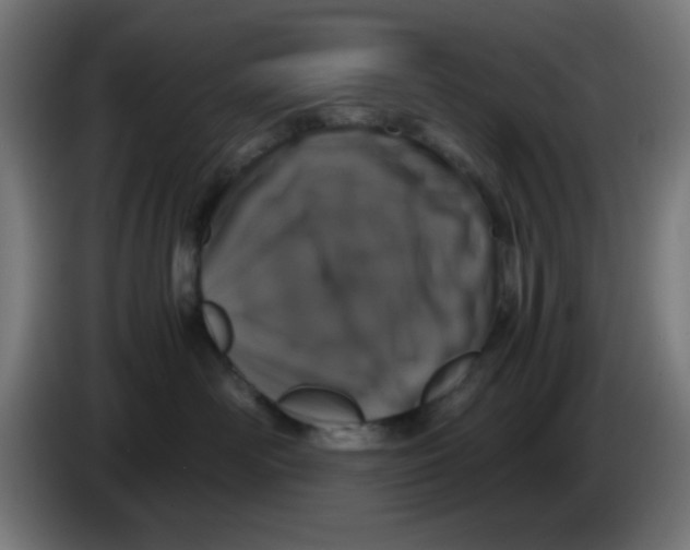 X0000086240526200704261918