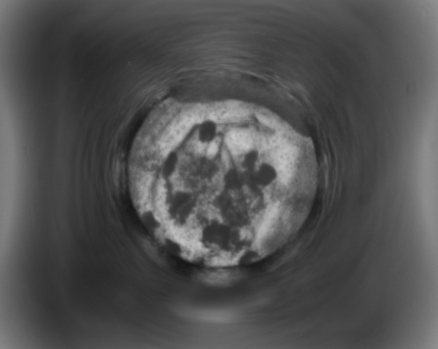 X0000086240527200704261918