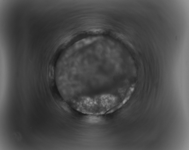 X0000086240528200704261918