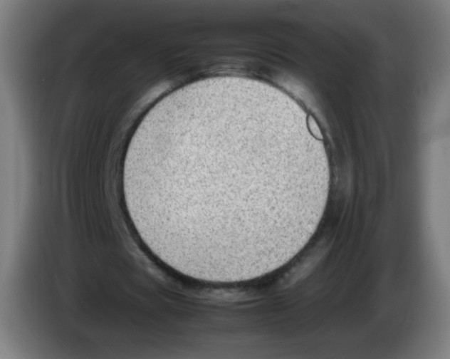 X0000086240529200704261918