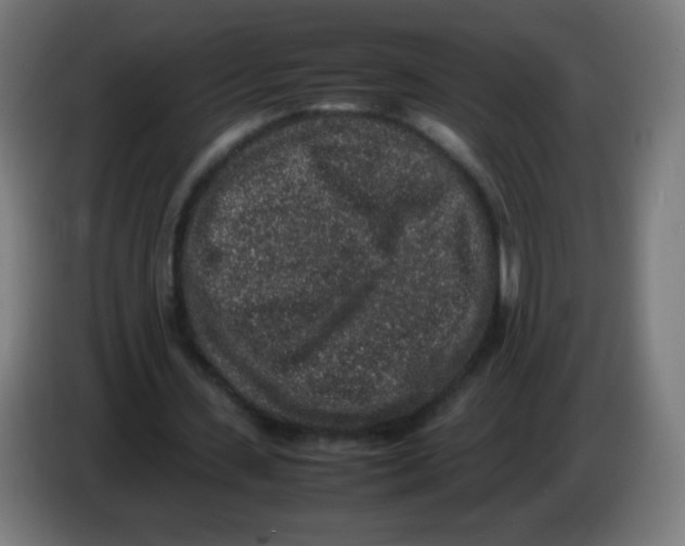 X0000086240531200704261918