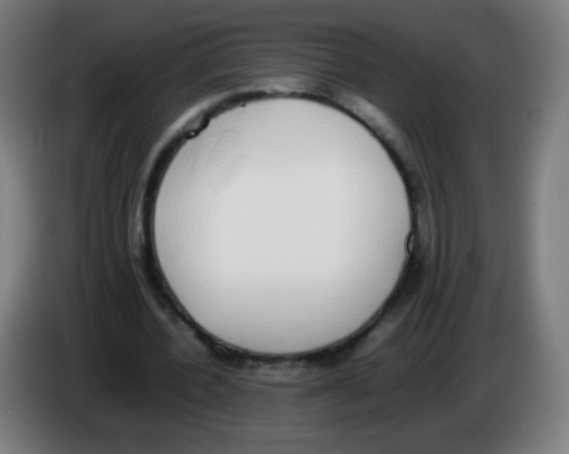 X0000086240532200704261918