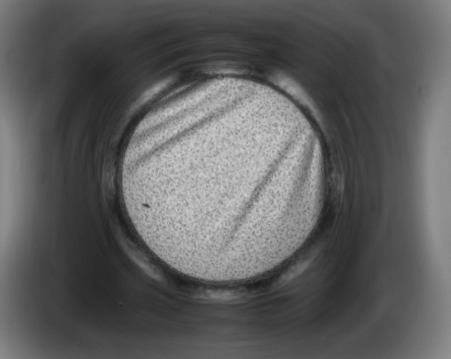 X0000086240533200704261918