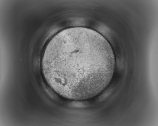 X0000086240534200704261918