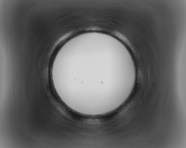 X0000086240535200704261918