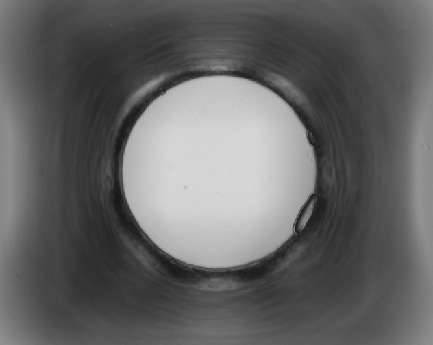 X0000086240536200704261918