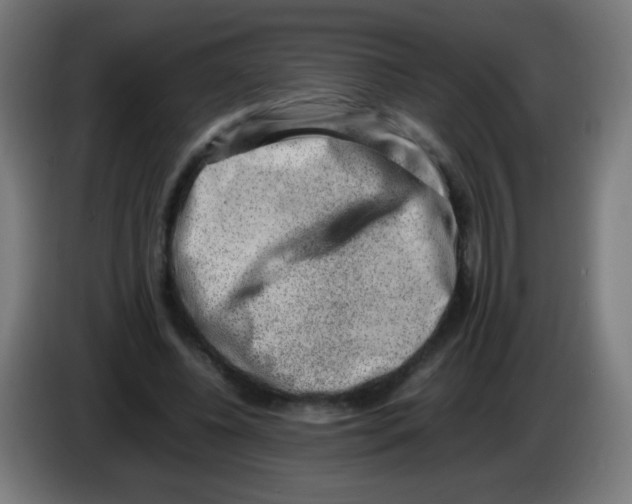 X0000086240540200704261918