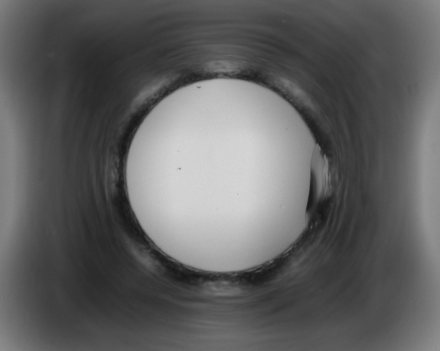 X0000086240544200704261918