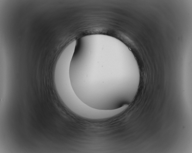 X0000086240546200704261918