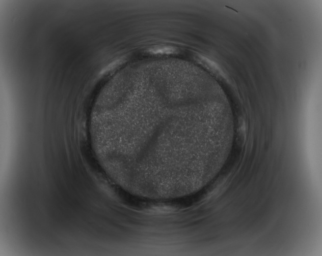 X0000086240547200704261918