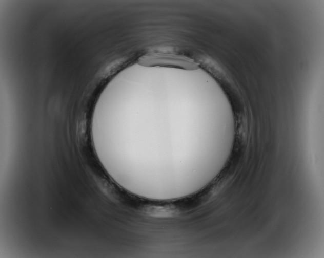 X0000086240548200704261918