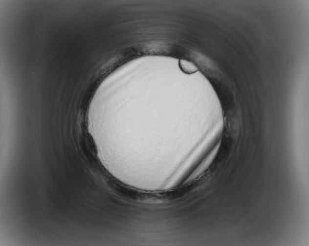 X0000086240550200704261918