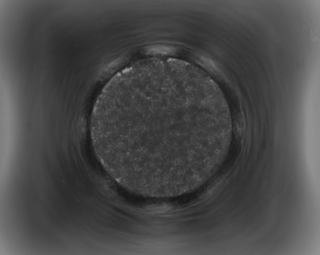 X0000086240551200704261918