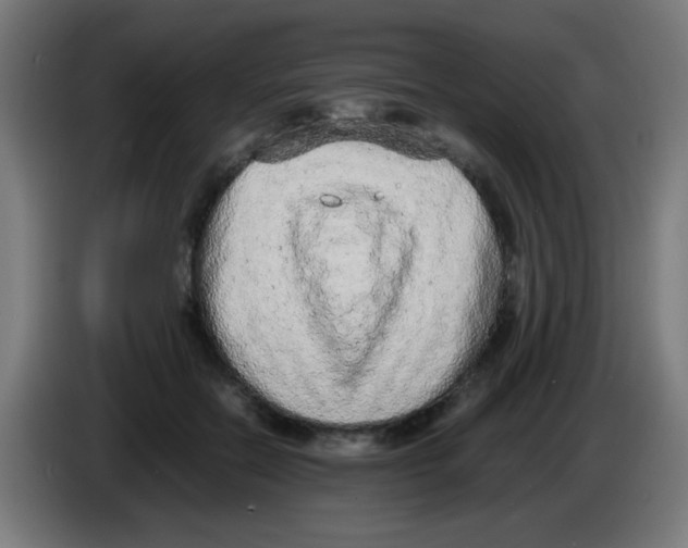 X0000086240554200704261918