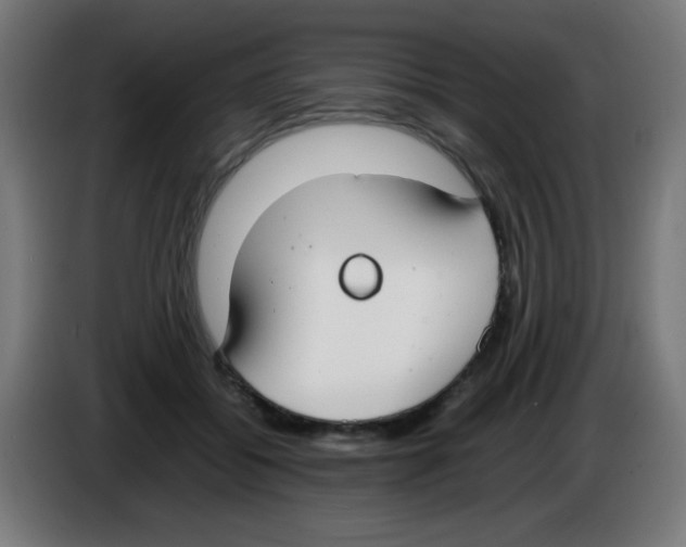 X0000086240556200704261918