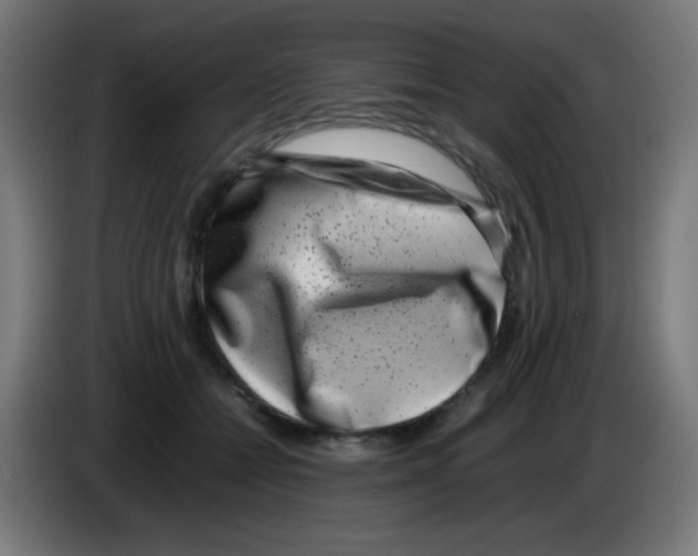X0000086240558200704261918