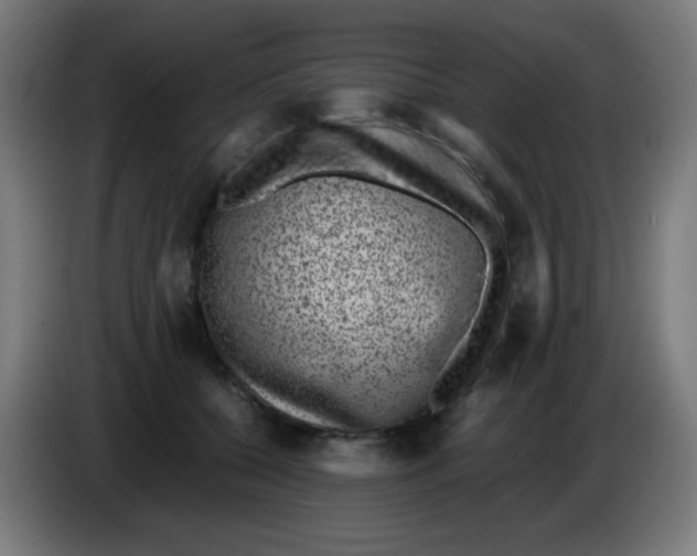 X0000086240560200704261918