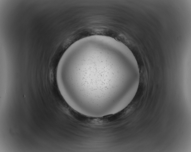 X0000086240562200704261918