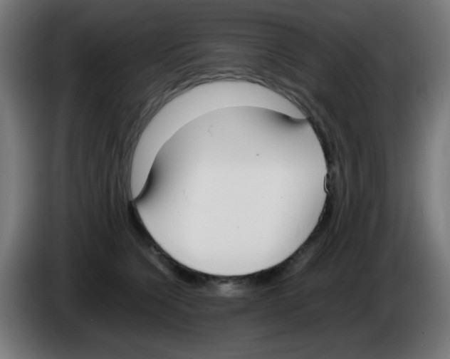 X0000086240564200704261918