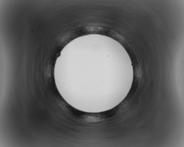 X0000086240567200704261918
