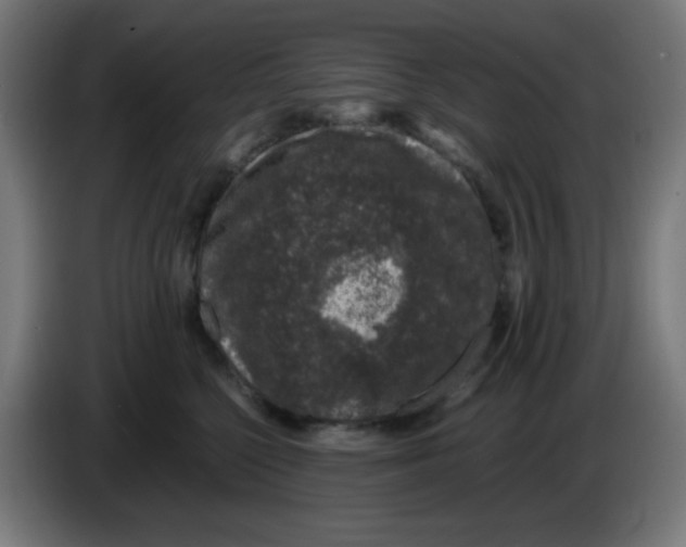 X0000086240568200704261918
