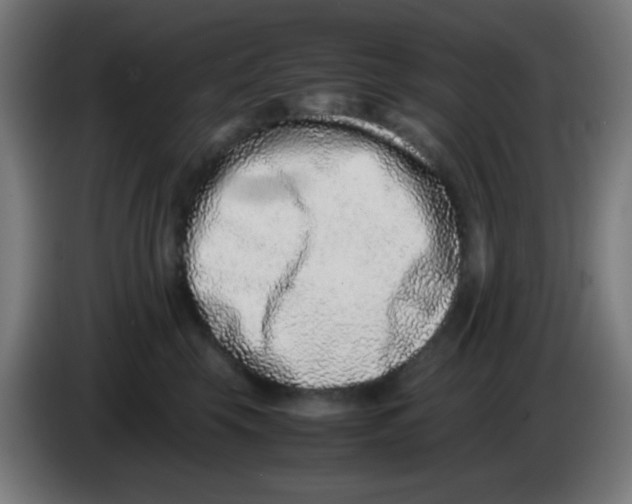 X0000086240569200704261918