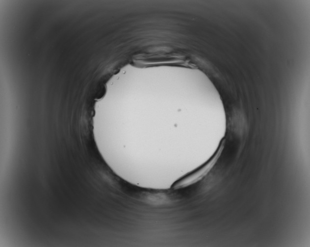 X0000086240572200704261918