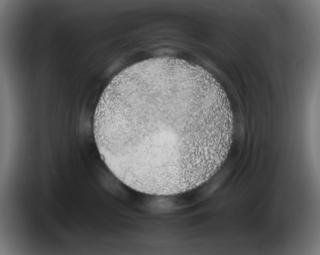 X0000086240573200704261918