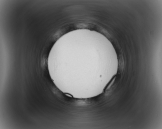 X0000086240574200704261918