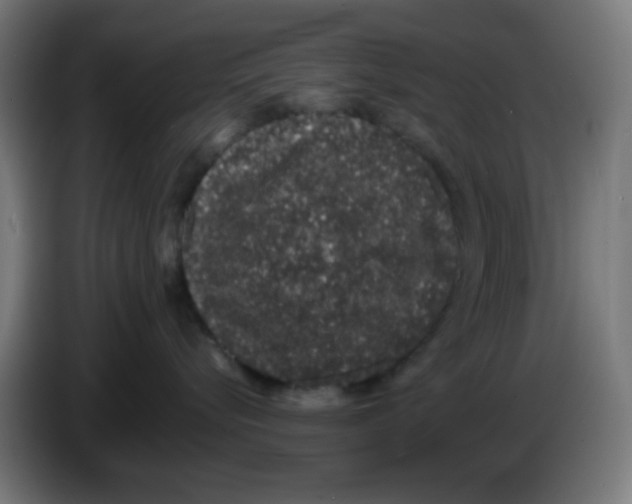 X0000086240576200704261918