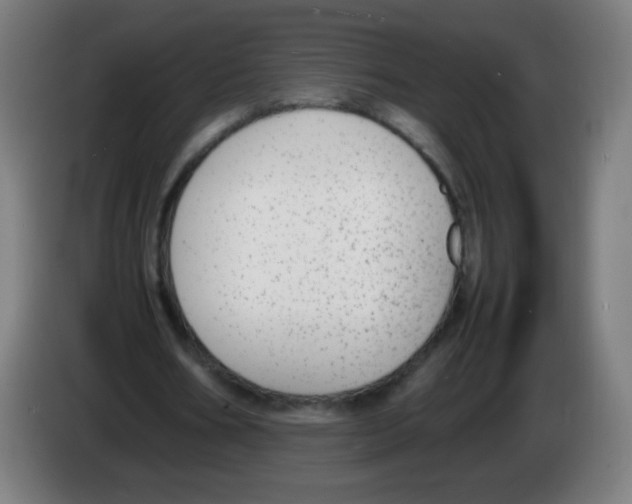 X0000086240578200704261918