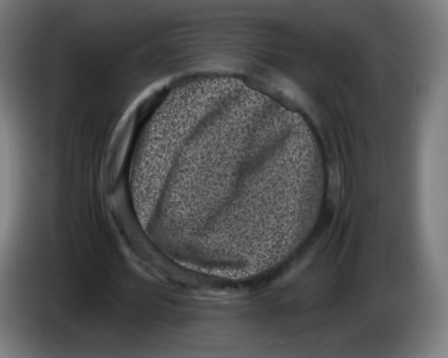 X0000086240580200704261918