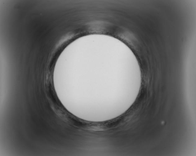 X0000086240583200704261918