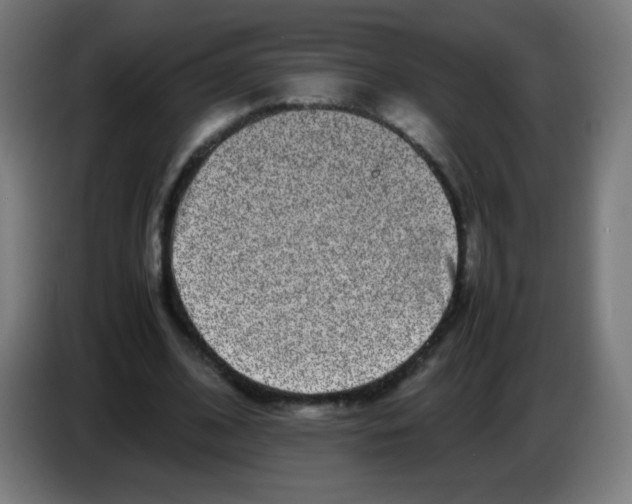 X0000086240584200704261918