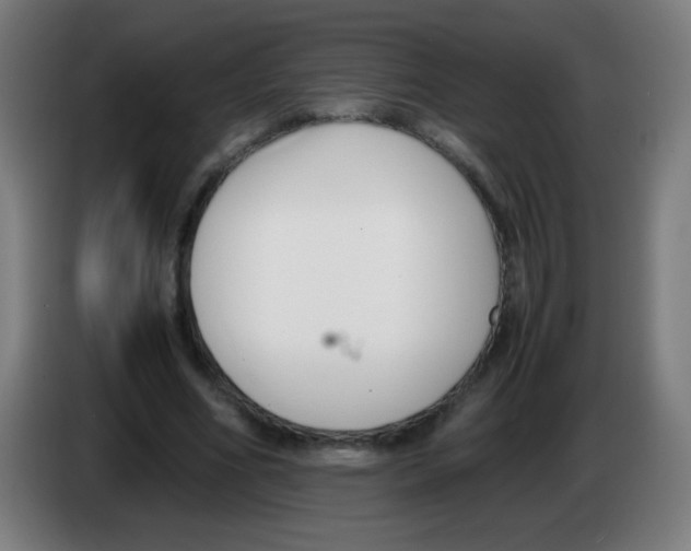 X0000086240586200704261918