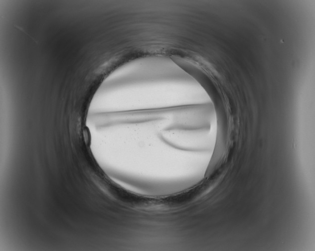 X0000086240589200704261918