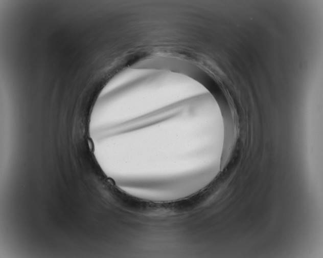 X0000086240593200704261917