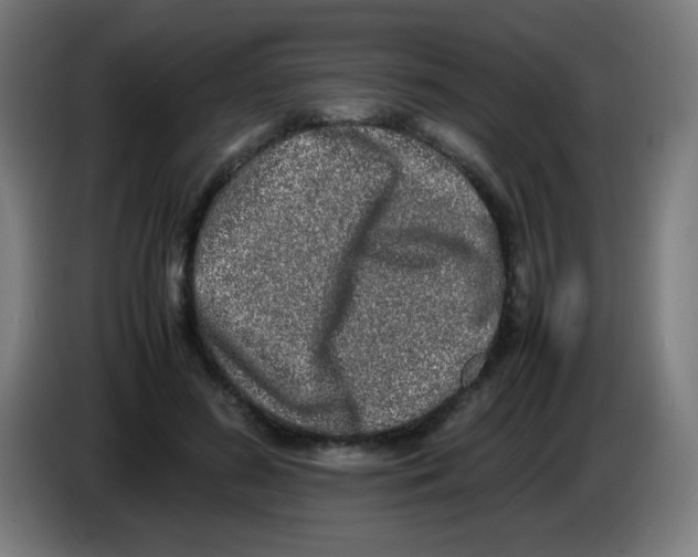 X0000086240596200704261917