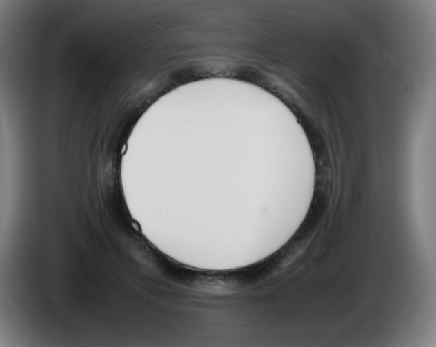 X0000086240597200704261917