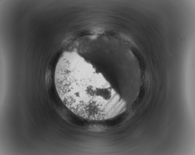 X0000086240598200704261917