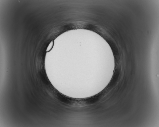 X0000086240599200704261917