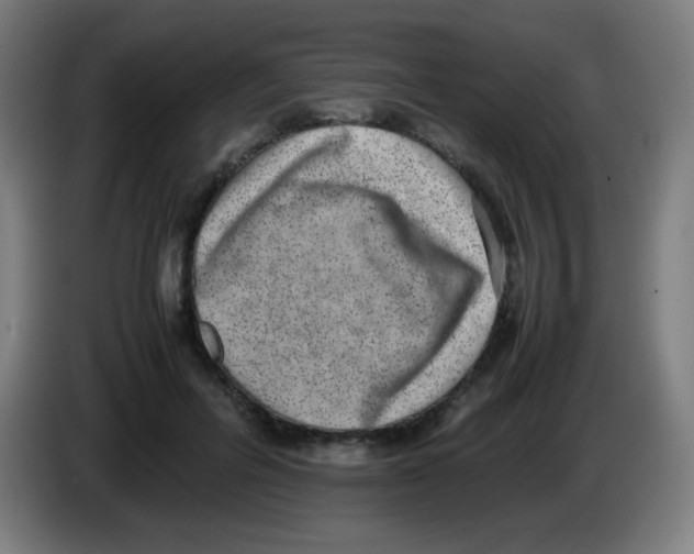 X0000086240600200704261917