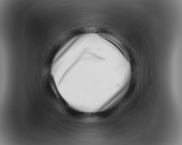 X0000086240601200704261917