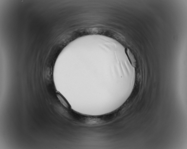 X0000086240605200704261917