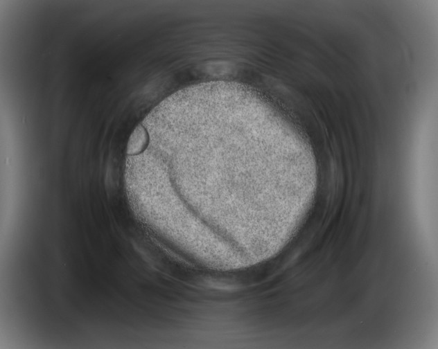 X0000086240606200704261917