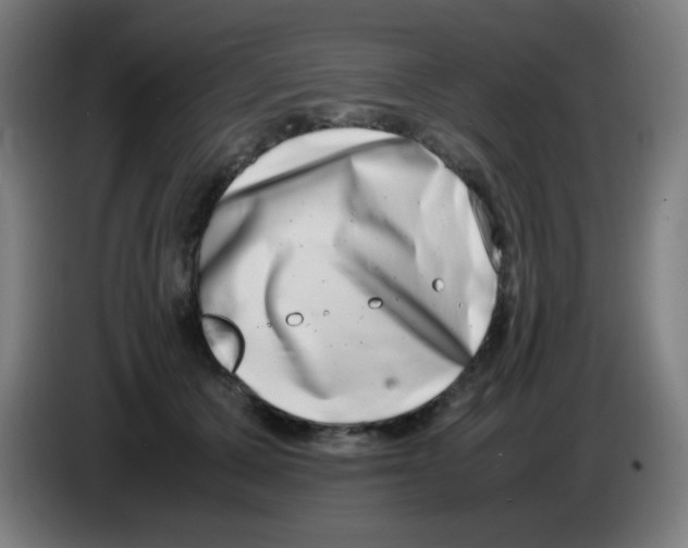 X0000086240607200704261917