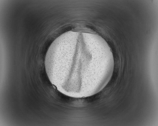 X0000086240609200704261917