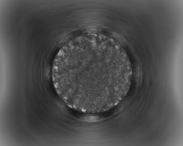X0000086240610200704261917